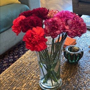 Meet your Posher, Niloo